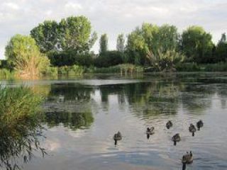 Marshes of Gandía