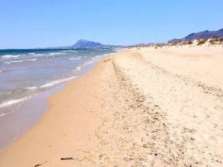 Dead water beach shore in Oliva