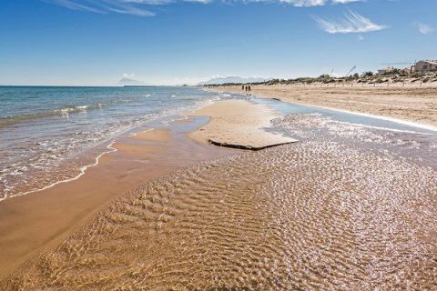 Oliva on see shore